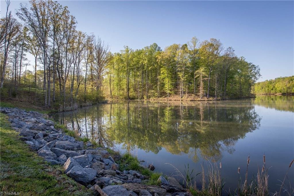 9427 Lissara Camp Ct, Lewisville, NC 27023
