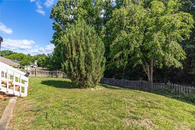 3931 Hickswood Forest Dr, High Point, NC 27265 - view of yard