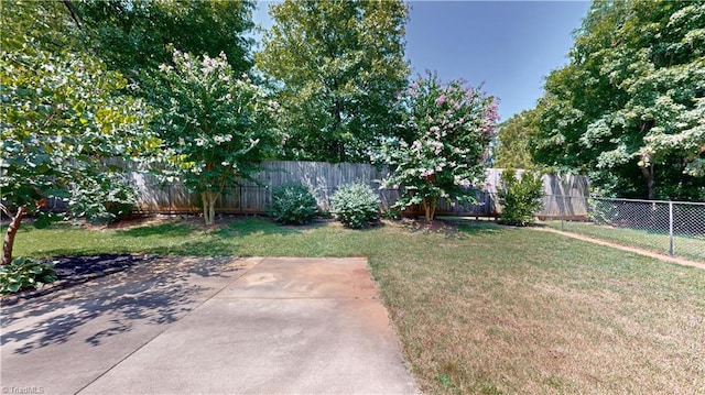 view of yard with a patio