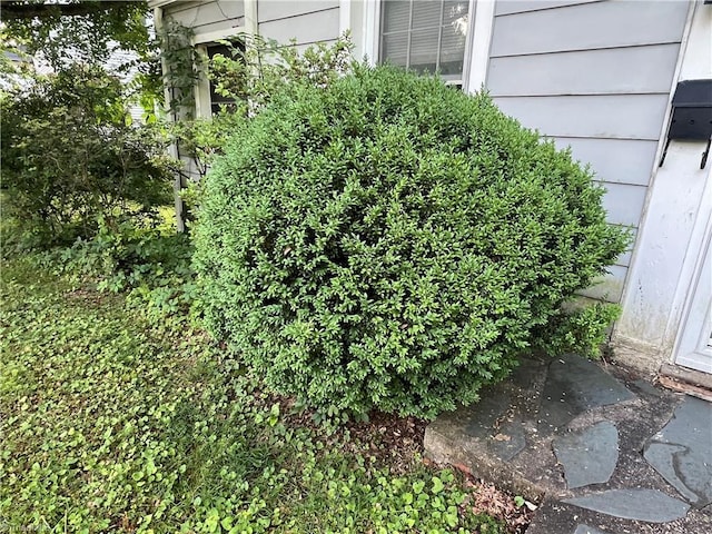 342 Moore Ave, Mount Airy, NC 27030 - exterior view