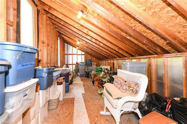 8009 Willow Glen Trl, Greensboro, NC 27455 - view of attic