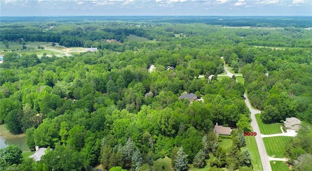 8009 Willow Glen Trl, Greensboro, NC 27455 - drone / aerial view of a forest