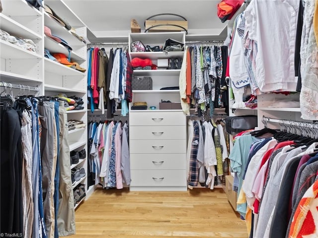 spacious closet featuring light hardwood / wood-style flooring