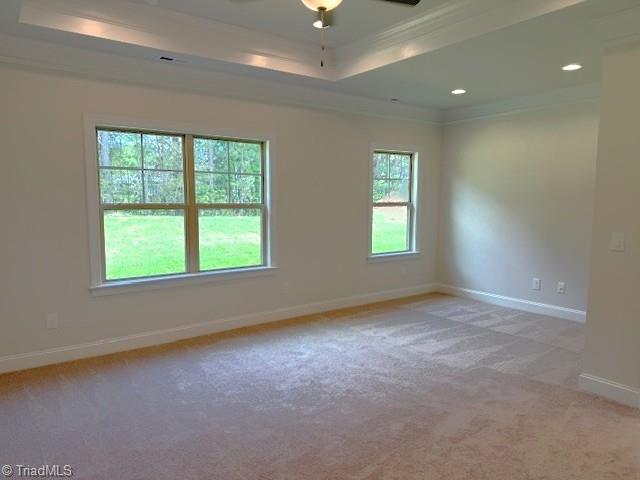 unfurnished room featuring a tray ceiling, crown molding, a ceiling fan, light carpet, and baseboards