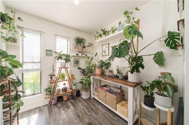 living area featuring wood finished floors and baseboards