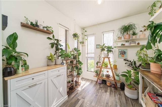 living area with wood finished floors and baseboards