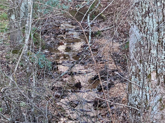 view of local wilderness featuring a water view