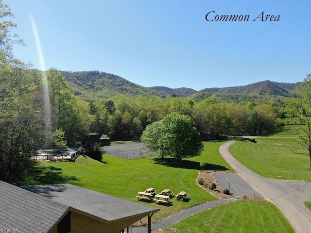 view of property's community with a mountain view and a yard