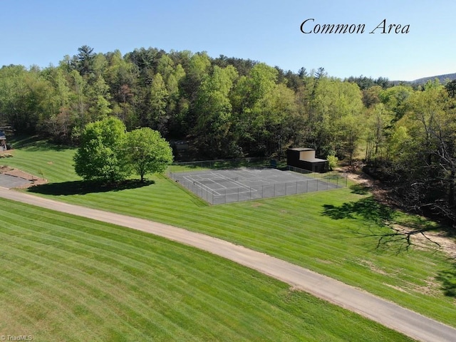 view of property's community with a lawn