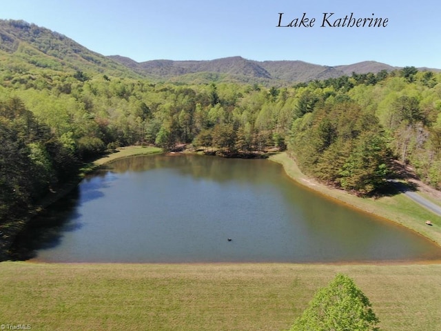 drone / aerial view featuring a water and mountain view