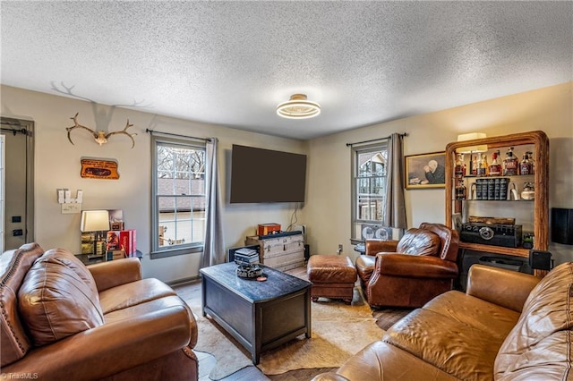 living room with a wealth of natural light and a textured ceiling