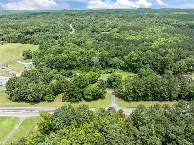 131 J Nettie Dr, Lexington, NC 27292 - bird's eye view of a heavily wooded area