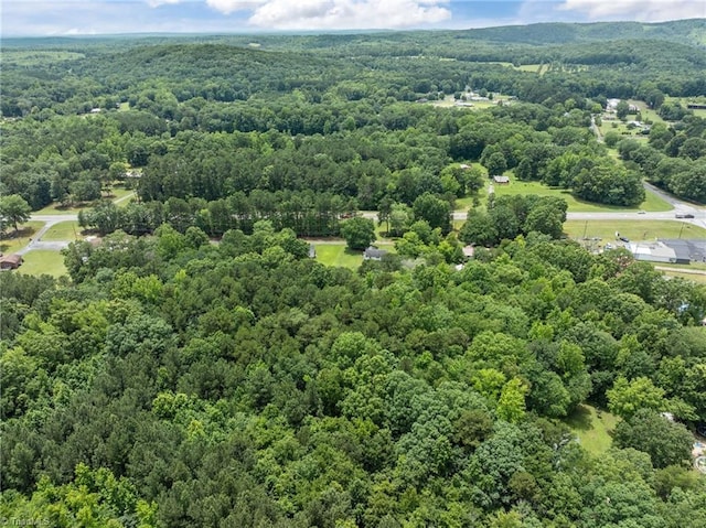 131 J Nettie Dr, Lexington, NC 27292 - bird's eye view of a heavily wooded area