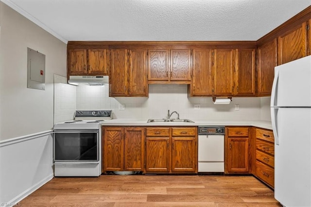 kitchen featuring a sink, under cabinet range hood, electric panel, white appliances, and light countertops