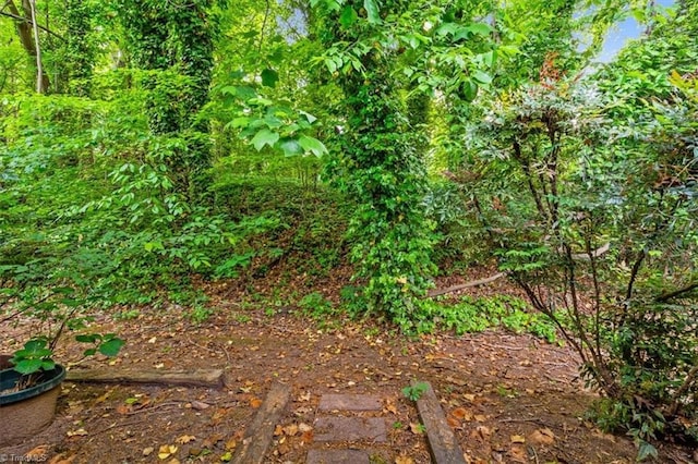 view of landscape
