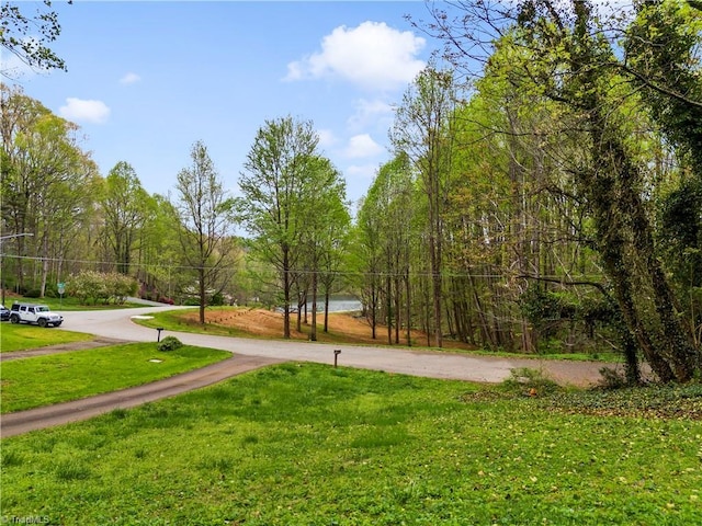 surrounding community featuring a yard and driveway