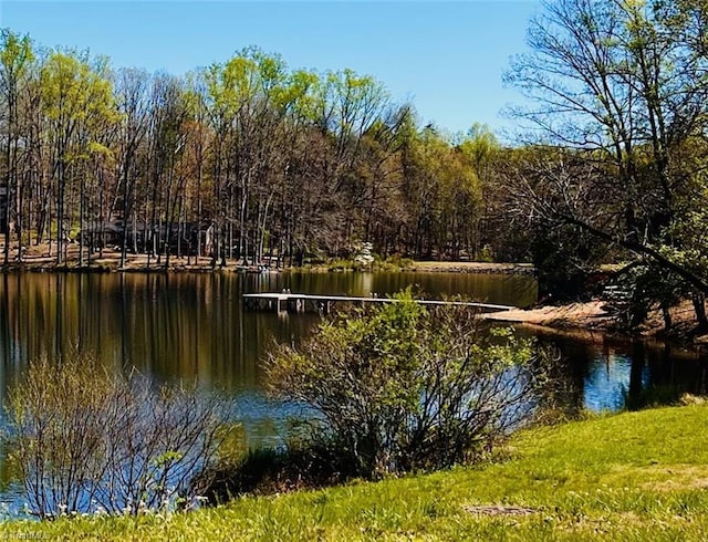 water view with a view of trees