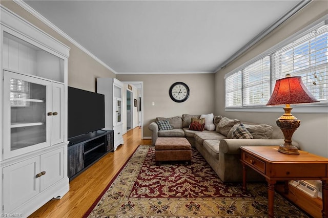 living room with ornamental molding and light wood-type flooring