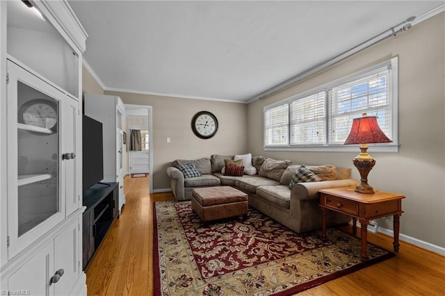 living room with wood-type flooring and ornamental molding