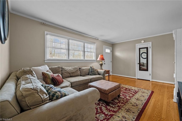 living room featuring ornamental molding and light hardwood / wood-style flooring