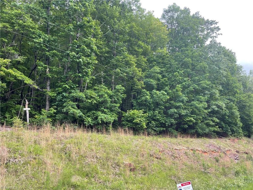 1 George York Rd, Randleman, NC 27317