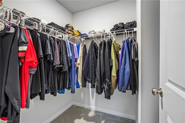 view of spacious closet