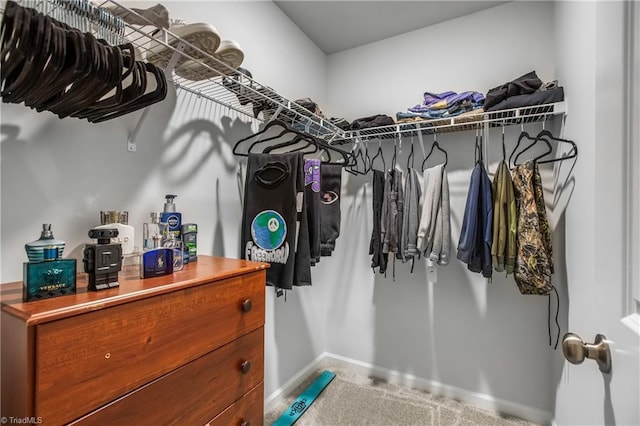 spacious closet featuring carpet