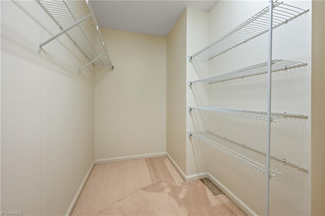 825 Central Park Ave, Greensboro, NC 27407 - walk in closet featuring carpet flooring