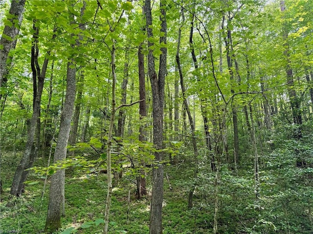 0 Strivers Way, Mount Airy, NC 27030