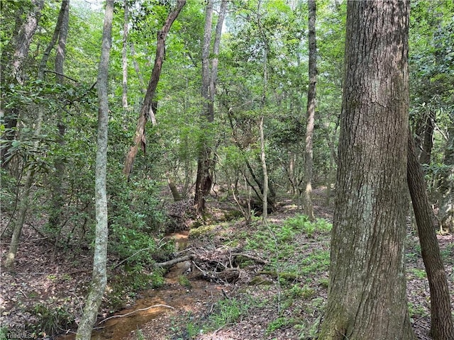 0 Strivers Way, Mount Airy, NC 27030