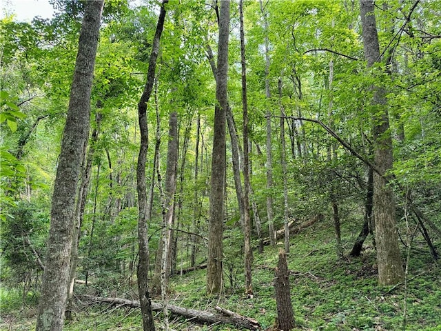 0 Strivers Way, Mount Airy, NC 27030