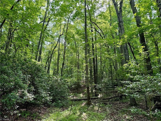 0 Strivers Way, Mount Airy, NC 27030