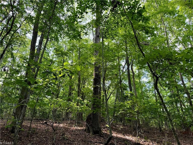 0 Strivers Way, Mount Airy, NC 27030