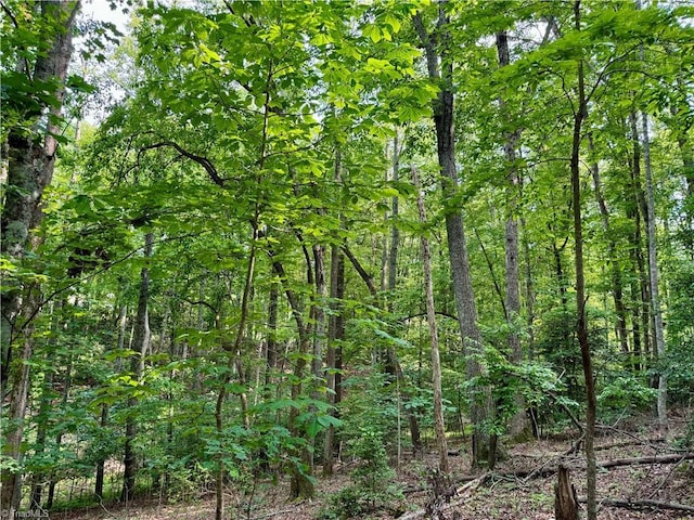 0 Strivers Way, Mount Airy, NC 27030