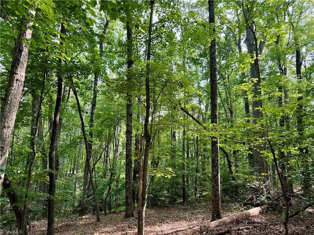 0 Strivers Way, Mount Airy, NC 27030