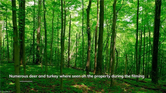 0 Strivers Way, Mount Airy, NC 27030