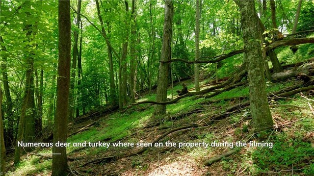 0 Strivers Way, Mount Airy, NC 27030