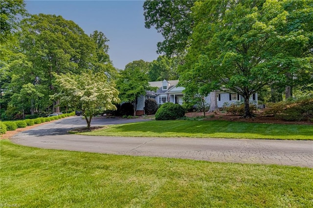 view of property hidden behind natural elements with driveway and a front yard