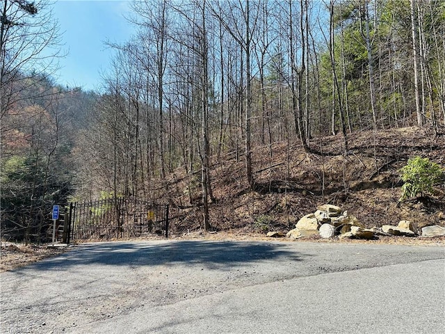 00 Staghorn Rd, Purlear NC, 28665 land for sale