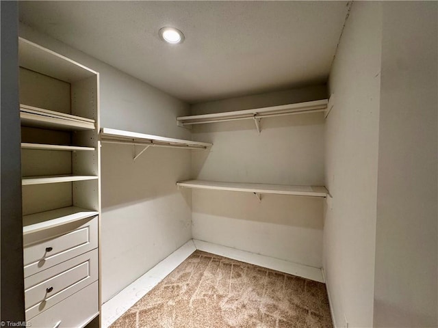 walk in closet with carpet flooring