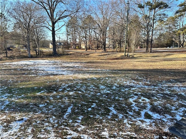 view of yard layered in snow