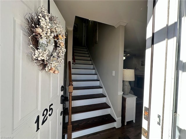 stairway with ceiling fan and wood-type flooring