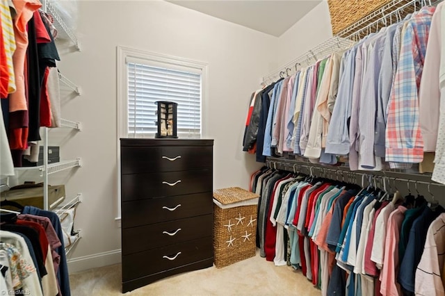 spacious closet with carpet floors