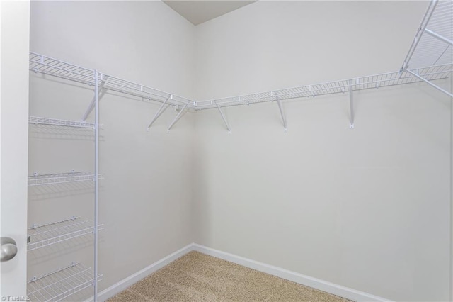 spacious closet with carpet floors