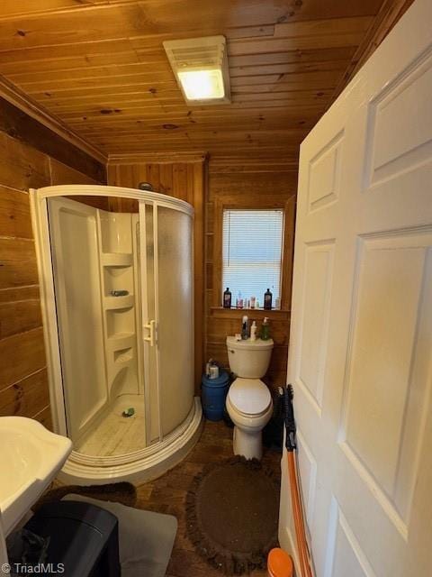 197 Mahogany Ct, Lansing, NC 28643 - full bathroom with toilet, wooden ceiling, wood walls, and a stall shower