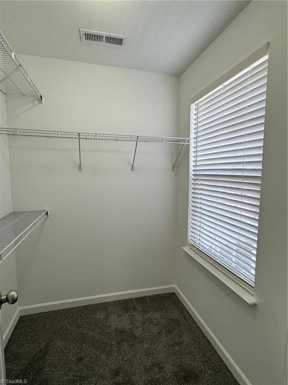 spacious closet featuring carpet flooring