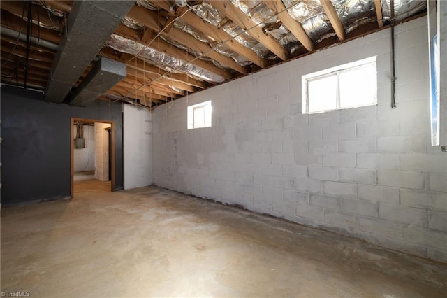 basement with concrete block wall