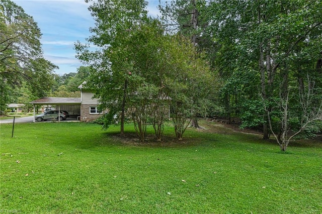 view of yard featuring a carport and driveway