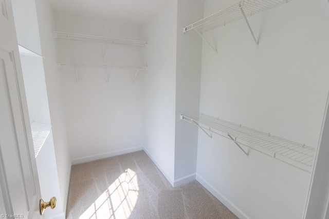 7905 Cress Ct, Oak Ridge, NC 27310 - spacious closet featuring light carpet