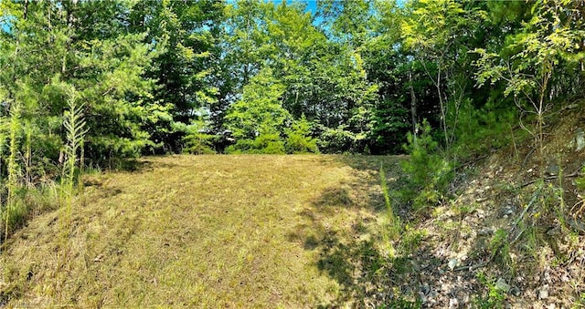 Listing photo 3 for LOT1 Pinnacle Dr, Boomer NC 28665